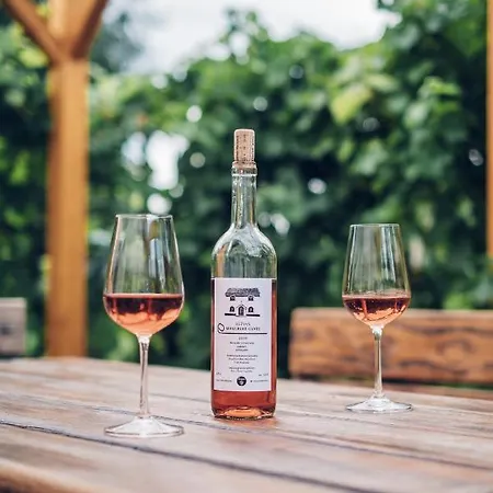 U Matusku Appartement Mikulčice